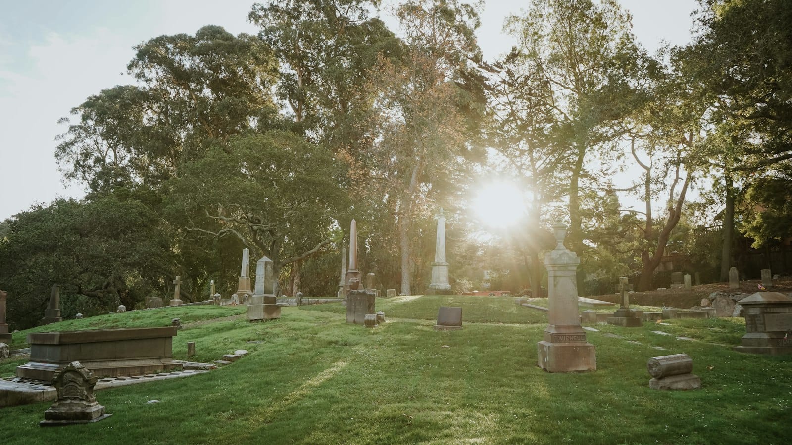 Cimetière paisible baigné de soleil entre les arbres