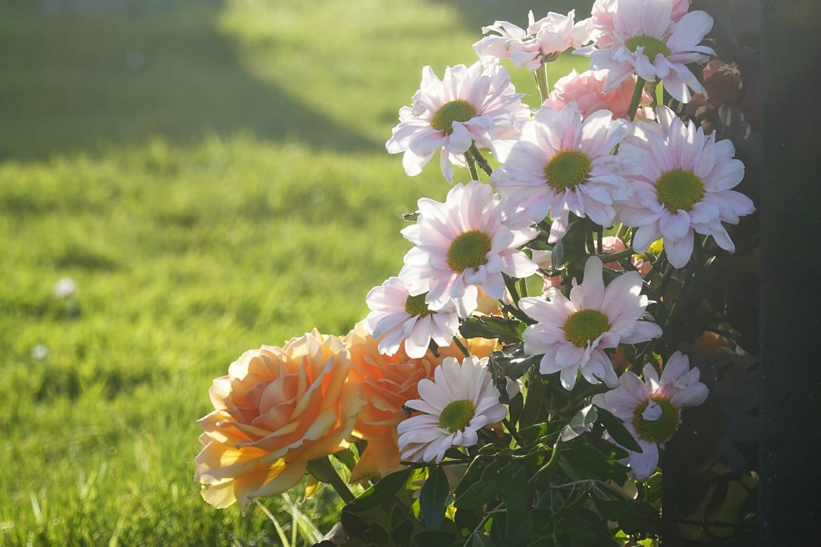 Bouquet de fleurs déposé sur une tombe au soleil couchant