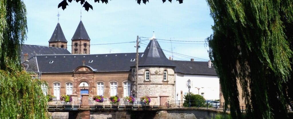 Généalogiste à Sarrebourg : villages des Vosges mosellanes 2 La Sarre et la collégiale à Sarrebourg (57)